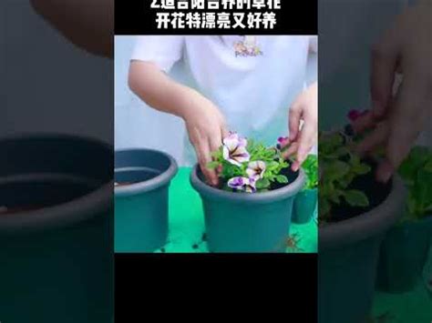 前陽台 招財植物|前陽台招財植物大全！15 種適合陽台的植物助你財源。